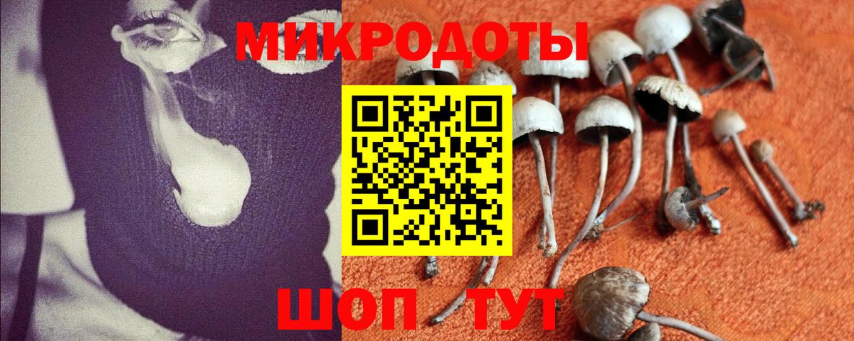 Псилоцибиновые грибы прущие грибы  Вход с VPN  где купить наркотик  Воркута 
