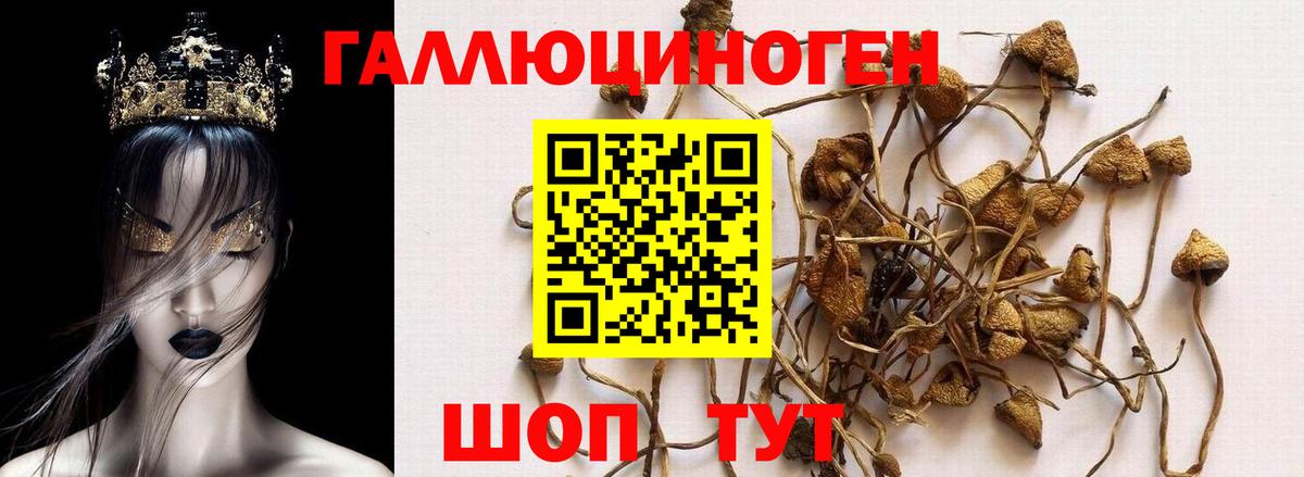 Галлюциногенные грибы Cubensis Воркута